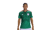 World Cup Futbol Sticker by MiSelecciónMX