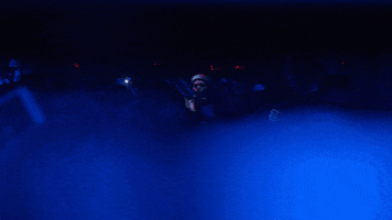 Idris Elba GIF by Coachella