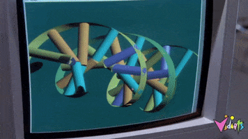 GIF by Vidiots