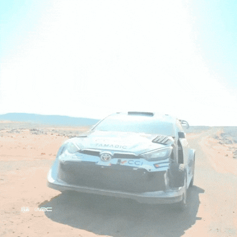 Saudi Arabia Motorsport GIF by FIA World Rally Championship
