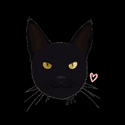 pawtraitsbymrm giphygifmaker black cat nyx nyx chapter GIF