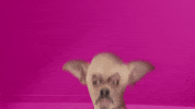 MovistarPlus movistarplus 0 movistar cero GIF