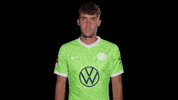 Champions League Love GIF by VfL Wolfsburg