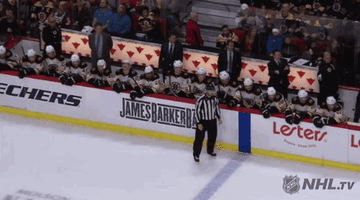 happy ice hockey GIF by NHL