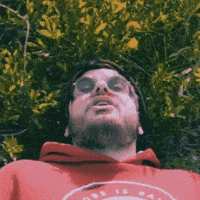 Quinto Elemento Vito GIF