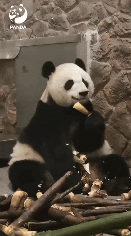 ehdgus1211 giphyupload GIF