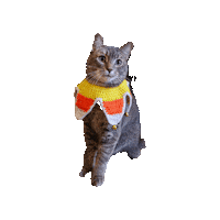 Halloween Costume Sticker by Alex Anderson