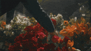 Music Video Love GIF by Reid Haughton