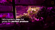 GIF by MIT 