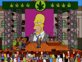 homer simpson GIF