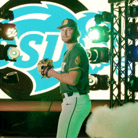 North Dakota State Baseball GIF by NDSU Athletics