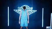 Look Up University Of North Carolina GIF by UNC Tar Heels