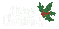 Merry Christmas Sticker by Natalie Tahhan