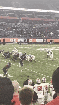 Shfootball GIF