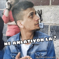 Allame GIF