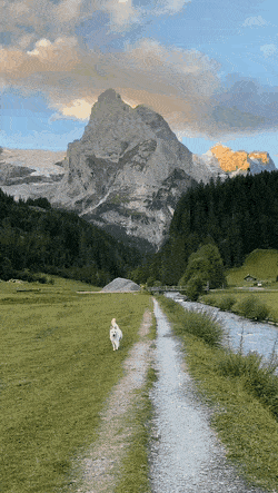 ehdgus1211 giphyupload GIF