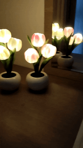 Pja9701 giphyupload GIF