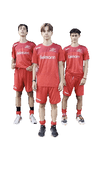 Happy Sport Sticker by Swiss Hockey