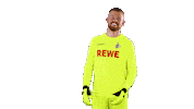 timo horn soccer Sticker by 1. FC Köln
