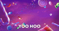 YOO HOO