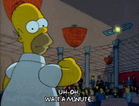 Season 1 Episode 10 GIF by The Simpsons