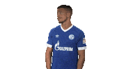 football soccer Sticker by Bundesliga