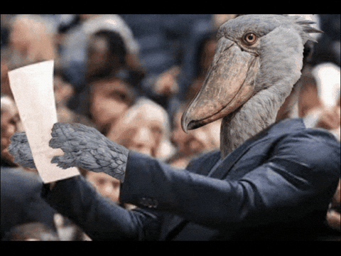 Confused Jimmy Butler GIF