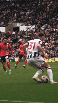 West Brom Wba GIF by West Bromwich Albion