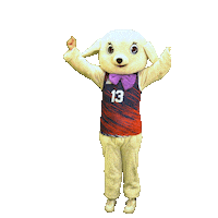 Sport Lion Sticker by Plymouth Marjon University