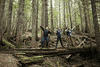 hike GIF