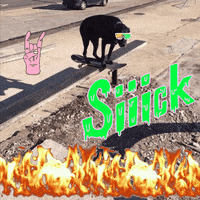 Sick Dog GIF by jOnNy'S wOrLd