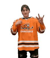 Ice Vols Sticker by Tennessee Hockey