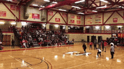 setonhilluniversity griffins seton hill seton hill university go griffins GIF
