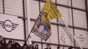 The Wire Williams GIF by Warrington Wolves