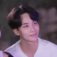 Korean 세븐틴 GIF