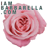 Pink Rose Aob Sticker by Barbarella