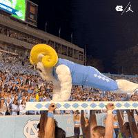North Carolina Cheer GIF by UNC Tar Heels