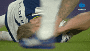 Happy Celebration GIF by MolaTV
