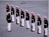 Marine Corps GIF