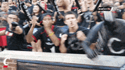 awkward cincinnati bearcats GIF by University of Cincinnati Athletics