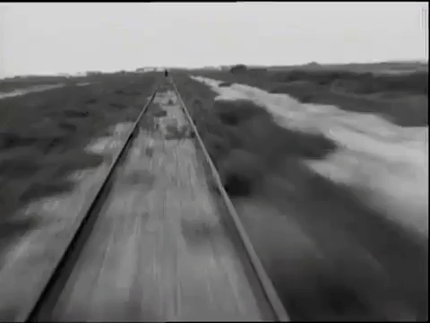 Ozzy Osbourne GIF