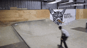 skateboarding GIF by KING OF THE ROAD