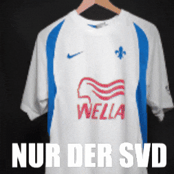 Sv Darmstadt 98 GIF