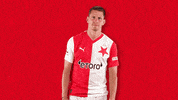 Lets Go Yes GIF by SK Slavia Praha
