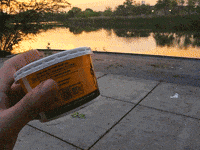 Walking Sunset GIF by Don't mess with Texas