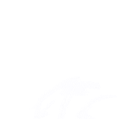 Fts Sticker by Injustice Records