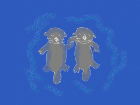 In Love Sleeping GIF by Barbara Pozzi