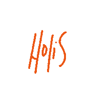 amereter holis amereter Sticker
