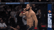 Mixed Martial Arts Sport GIF by UFC