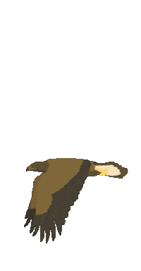 VisitTrentino eagle alps dolomites trentino Sticker